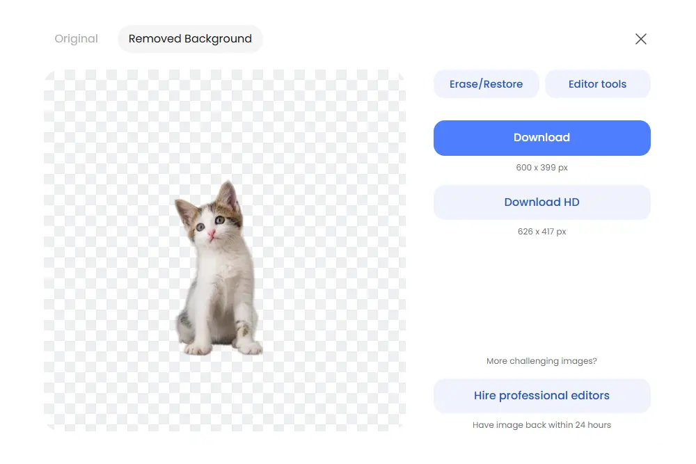 Las imágenes las descarga en formato PNG transparente Quitando el fondo a una imagen con Inteligencia Artificial