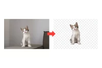 Cómo Quitar Fondos de Imágenes Fácilmente con IA