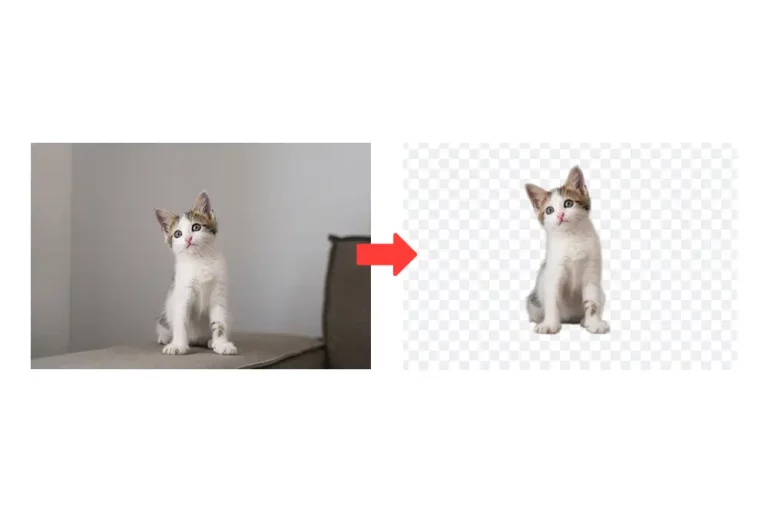 Cómo Quitar Fondos de Imágenes Fácilmente con IA